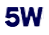 5W logo